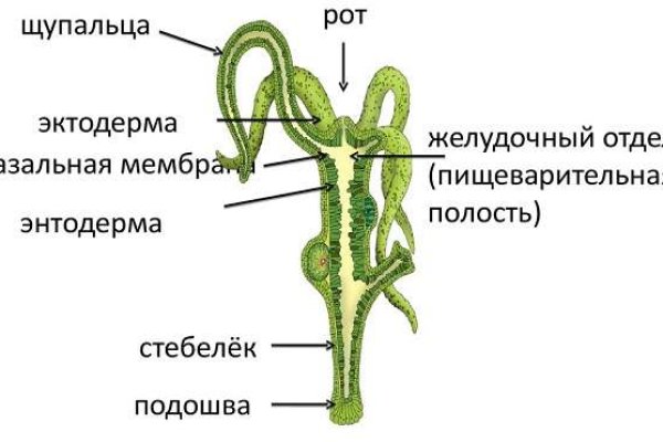 Kraken наркотики сайт