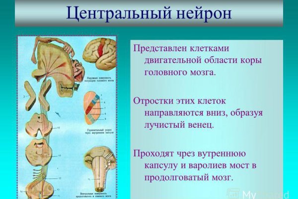 Кракен официальное зеркало