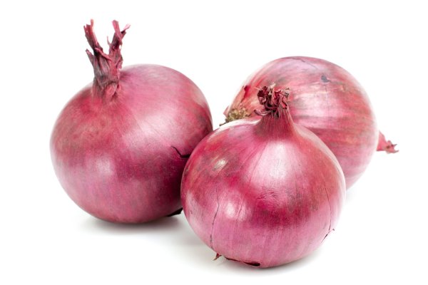 Блэкспрут BlackSprutruzxpnew4af onion